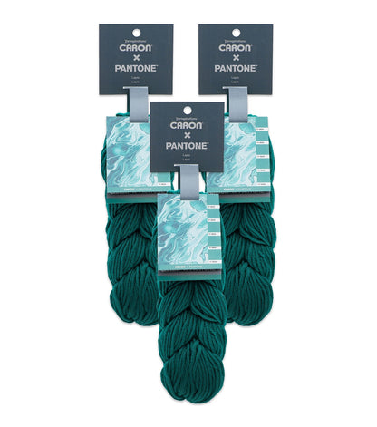 Caron x Pantone Yarn 3 Bundle