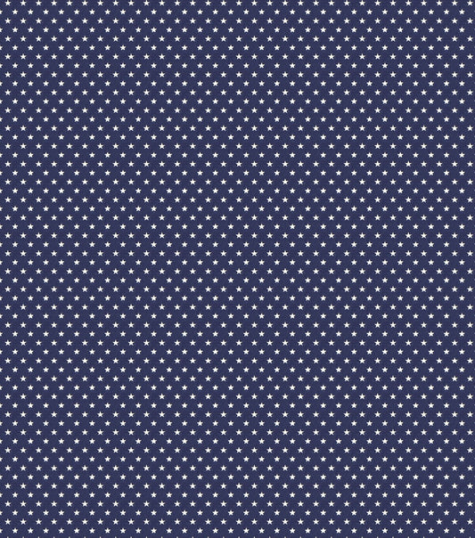 Tiny Stars on Blue Super Snuggle Flannel Fabric